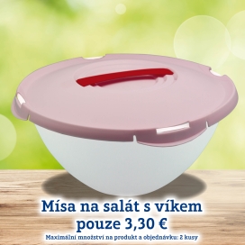 Salátová mísa s víkem VELKÁ