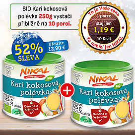 BIO Kari kokosová polévka