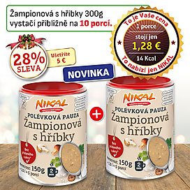 Polévková pauza - Žampionová s hříbky