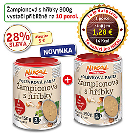 Polévková pauza - Žampionová s hříbky
