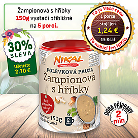 Polévková pauza - Žampionová s hříbky