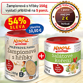 Polévková pauza - Žampionová s hříbky