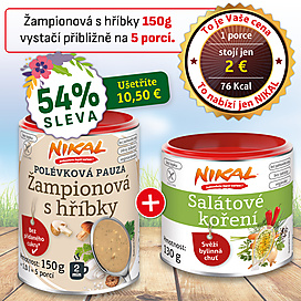 Polévková pauza - Žampionová s hříbky