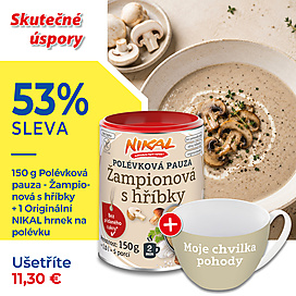 Polévková pauza - Žampionová s hříbky